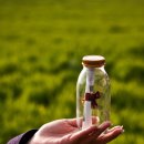 두산목장 이미지