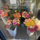 (전)J.my flower 이미지