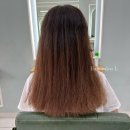 살롱엘(salon L)