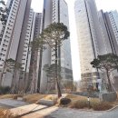 김앤김공인중개사사무소 이미지