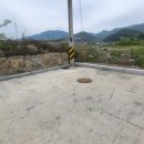 오성조경개발 네이버블로그