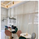 포유헤어 이미지