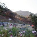 선산대로-33 이미지