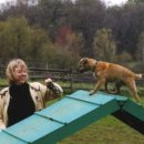 CAFE THE DOG 이미지