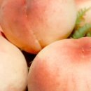 옥천상회 이미지