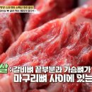 마당소머리 이미지