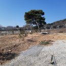 멧돼지 태양광발전소 이미지