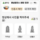 올해도 영남알프스 9봉 완등(2차) 도전합니다용!!! 이미지