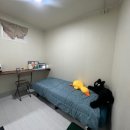 고대 스테이 이미지