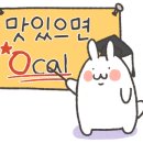 데이오브투컬러스