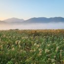 소라초등학교 이미지