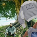 스튜디오딜리셔스