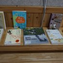 풀꽃유치원 이미지