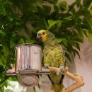 직동2길 이미지