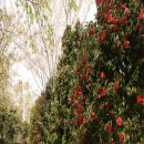 금호펜션 이미지