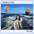 김녕관광지 | 제주 김녕 카페 청굴물 내돈내산 후기｜야외 테라스 용천수 청굴물 뷰 카페