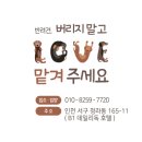 데일리독인천강아지분양