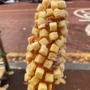 수정단대-D-1 이미지