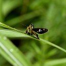 나비초등학교 이미지