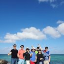 예산군 버스투어 | 제주도 전세버스 대여 기사포함 제주 투어 완벽 가이드