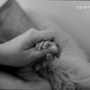 감동케어해피베이비
