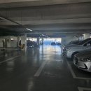 신거북시장(9) 이미지