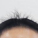 휴이엠헤어 원종점 이미지