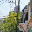 골목길빵공작소 | [리뷰] 세상에서 내가 제일 좋아하는 빵~ - 답십리 골목길빵공작소