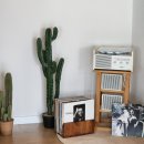 스테이옥정 | 감성 한사발 끼얹은 안동여행 안동숙소 &#34;스테이옥정&#34; 후기