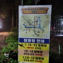 치유의숲야영장팬션