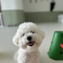 유앤호텔 이미지