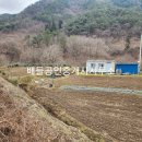 순천부동산공인중개사사무소 이미지