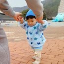 엑스포과학공원 주차장 이미지