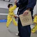 푸른하늘태권도장 이미지