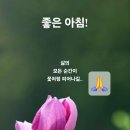 파스쿠찌대전방동호수공원DI점