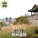 화서공원 | 수원 화서공원 가을 억새 명소 서북각루 산책 코스 주차장