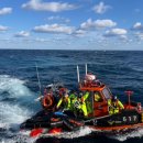 완도22호 이미지