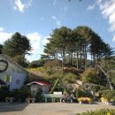 허브아일랜드민박 이미지