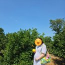우진카정비쎈타 | 4일 첫째 날(23주 차) 김포공항 노약자 우선 탑승, 우진해장국, 우무 푸딩, 카페 다과 상점, 옹포 바다횟집