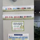 월대산로 | 강릉 입암동 신상막국수 장가네봉평막국수 내돈내산 솔직후기