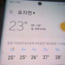 장거리 4곳 답사등 목청산행.78 (아까비와 목청발견) 이미지