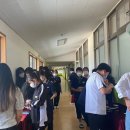 테라피 클래식 이미지