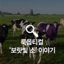 룩옵티컬 이미지