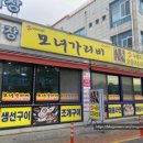 모녀가리비 이미지