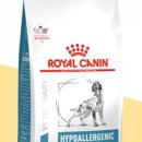 울산 강일웅동물메디컬센터 이미지