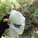 삼청공원 정문 이미지