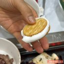 골드빌라 | [가평] 골드 스푼 애견 풀빌라 내돈내산 후기입니다