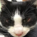 훈 동물병원 이미지