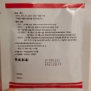 쾌차약국 | 설사 없는 강아지 만성 구토, IBD 진단과 펜벤다졸(구충제) 급여 후기