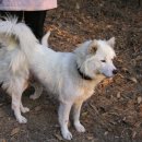 솔향펜션 이미지